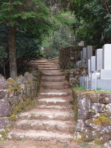 jhif19